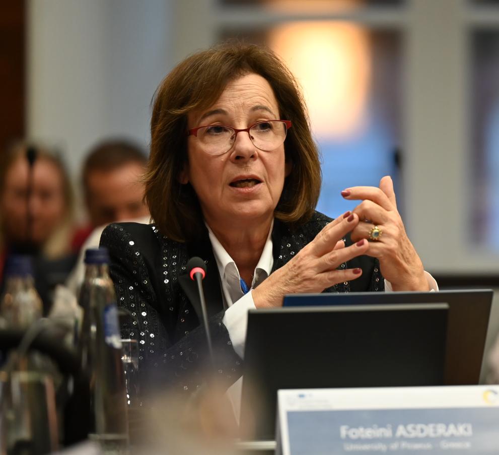 Dr Foteini Asderaki speaking at a conference.